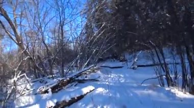 Kış ormanlarında yürüyüş, kış doğasının videosu.