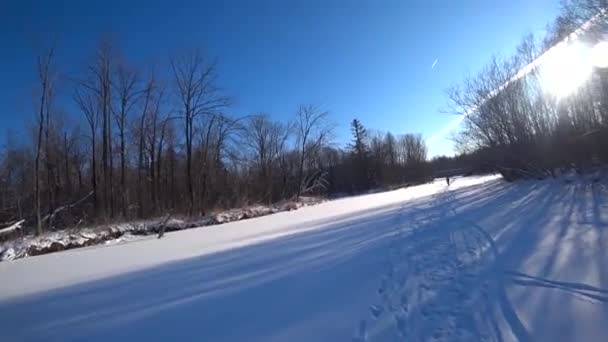 Прогулка по руслу замерзшей реки, зимний лес — стоковое видео