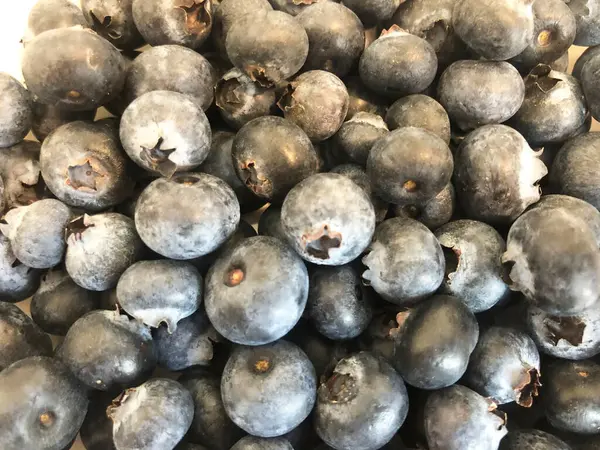 Yaban mersini, yabanmersini, bir sürü böğürtlen