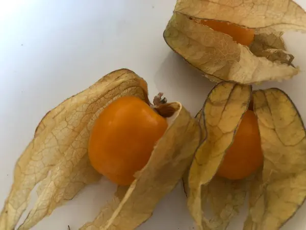 Tabakta Physalis, sağlıklı yiyecek, böğürtlen ve sebze.