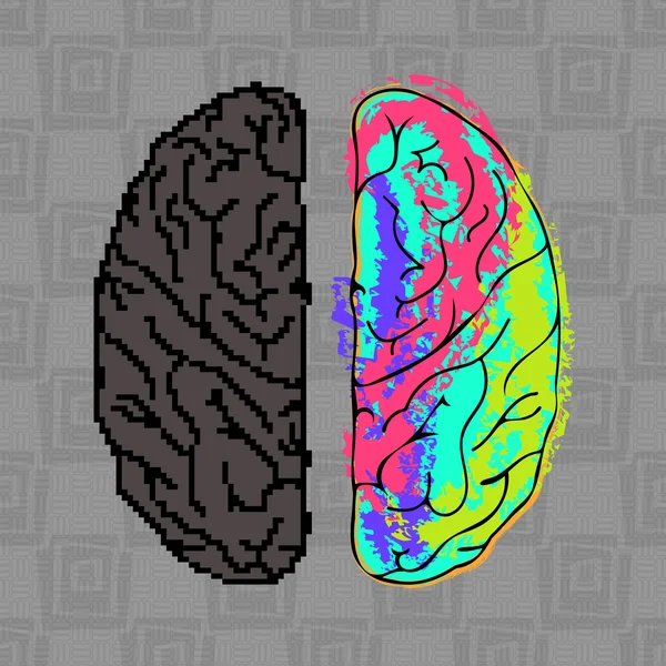 Diferenças entre os hemisférios do cérebro . — Vetor de Stock