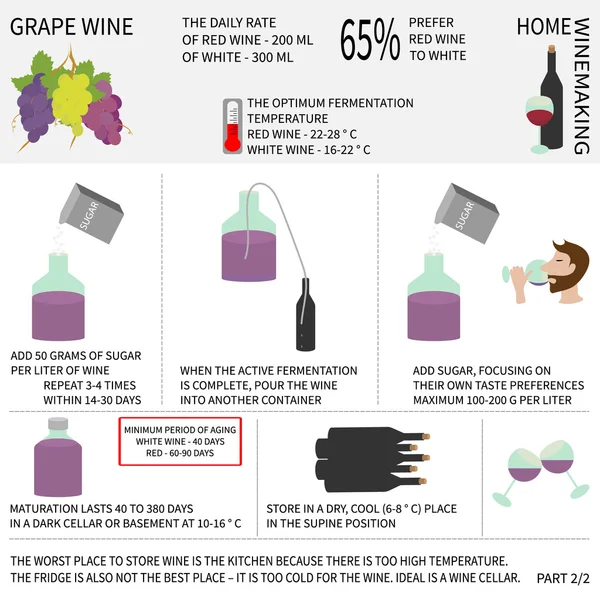 La vinification à domicile. Du vin de raisin. Infographies . — Image vectorielle