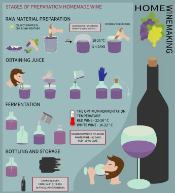 Evde şarap yapımı. Üzümden şarap. Infographics.