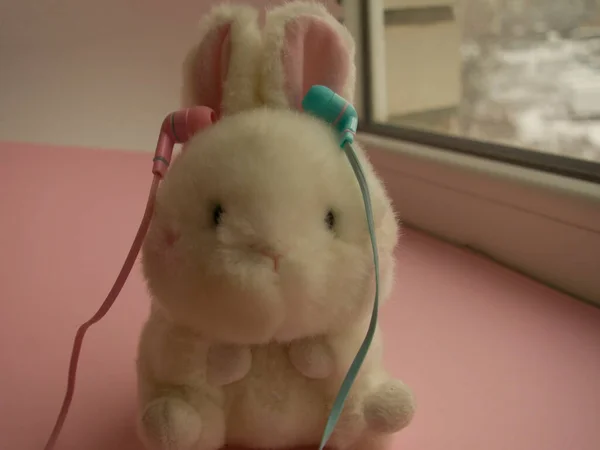 Pequeño Conejo Peluche Blanco Esponjoso Escucha Música Auriculares Vacío Colores —  Fotos de Stock