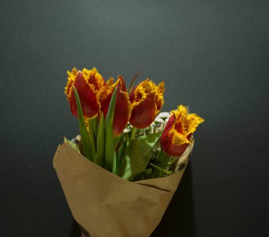 Kırmızı-sarı lale buketi Kraft kağıdında küçük beyaz çiçekler ve siyah bir zemin.