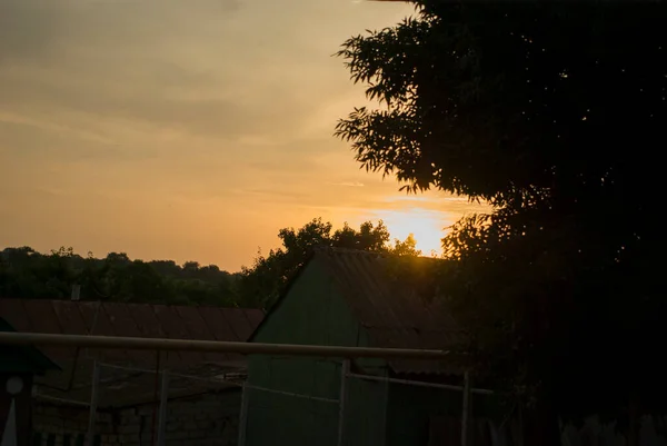 Laranja sol ao pôr do sol em torno da folhagem escura de árvores e casas — Fotografia de Stock