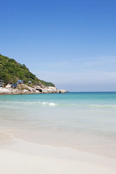 Palmiye ağaçları ile parlak okyanus plaj