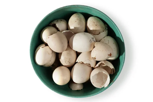 Jaja Skorupkach Wylęgły Się Inkubatora Izolowany Białym Tle Ścieżką Wycinania — Zdjęcie stockowe