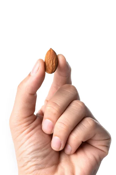 Almendra Mano Aislada Sobre Fondo Blanco Almendras — Foto de Stock