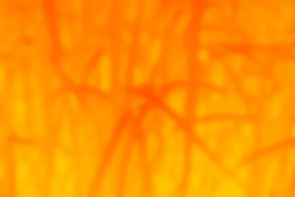 Abstract orange texture with beautiful pattern Blurred orange background Suitable for design