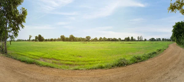 Schöne Aussicht Auf Grüne Reisfelder Mit Wolken Und Landstraßen Frieden — Stockfoto