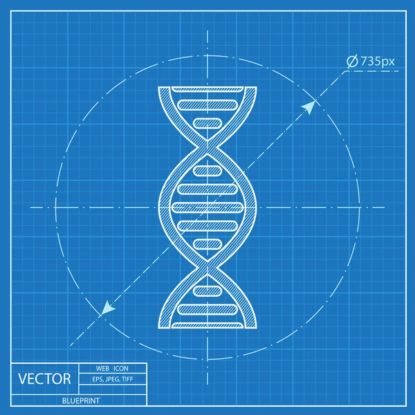 Vector DNA molecule blueprint icon — Stock Vector