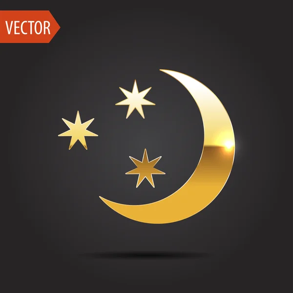Icon of starry night — Stock Vector