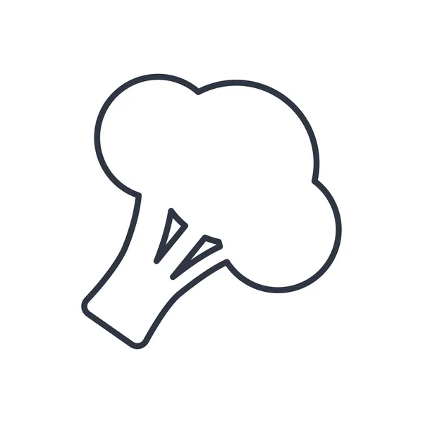 Vektör brokoli anahat simgesi. Gıda sembolü