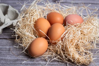 Çiftçi samanlı organik yumurtalar.