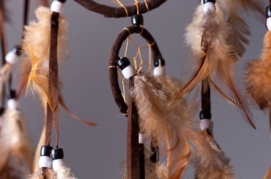 Esmer bir düş kapanı karanlık bir arka planda