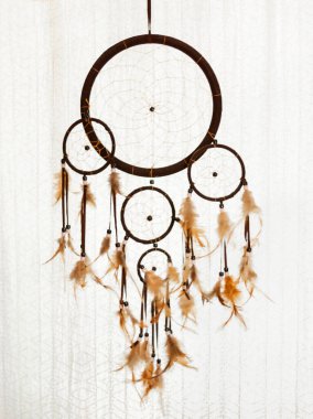 Beyaz arka planda kahverengi düş kapanı