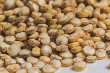 Kinoanın makro fotoğrafçılığı