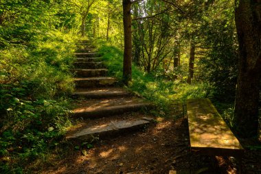 Muhteşem yerlere ulaşmak için merdivenleri olan güzel orman ve dağ yolları.