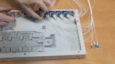 Sunucu odasında optik yama paneli