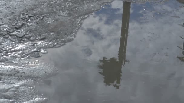 Melted puddle after winter — Stock Video