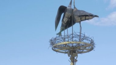 Mavi gökyüzü karşı kuşlar yuva