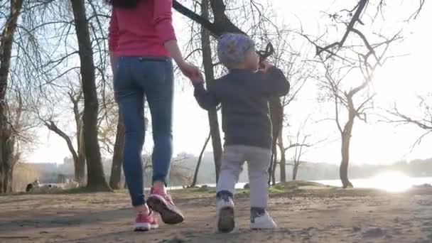 Lycklig familj i parken. Barnens händer tillsammans i solen. — Stockvideo