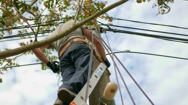 Ingeniero eléctrico con pilón eléctrico de alto voltaje en el fondo de la puesta del sol. — Vídeos de Stock