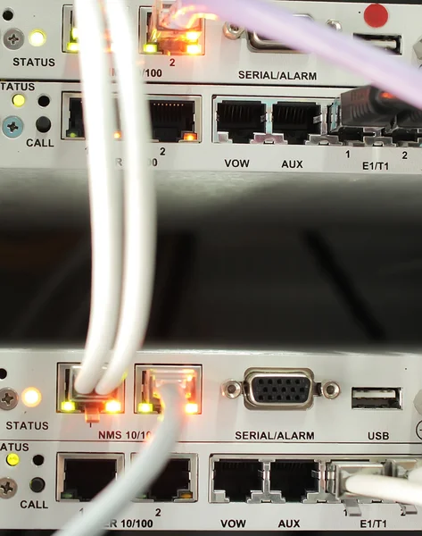 bir anahtar takılı ethernet kabloları 