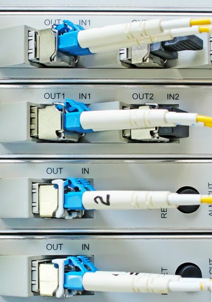 Cables de fibra óptica conectados al centro de datos — Foto de Stock