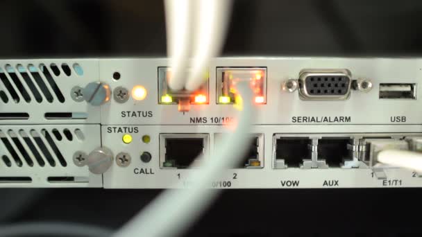 Kabely Ethernet zapojen do přepínače — Stock video
