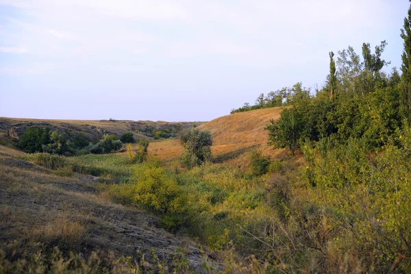 Natura, wczesna jesień — Zdjęcie stockowe