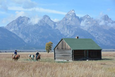 Wyoming 'de yük atlarıyla birkaç kovboy.. 