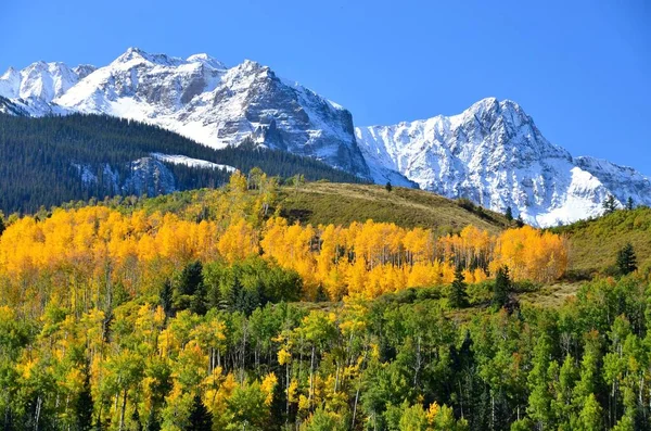 Colorado Daki Aspen Ağaçları San Juan Dağları — Stok fotoğraf