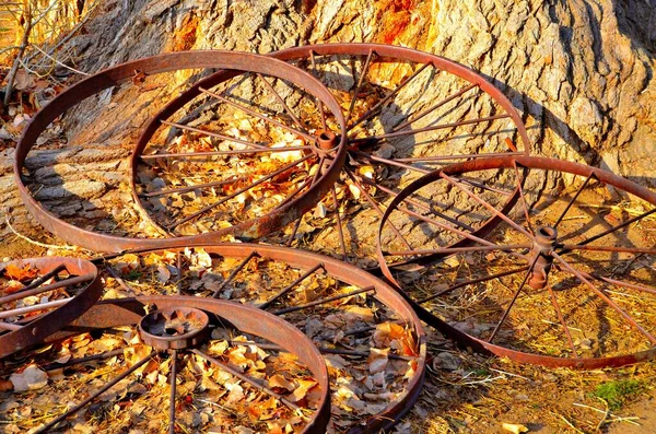在一棵树旁的旧金属旅行车轮子 — 图库照片