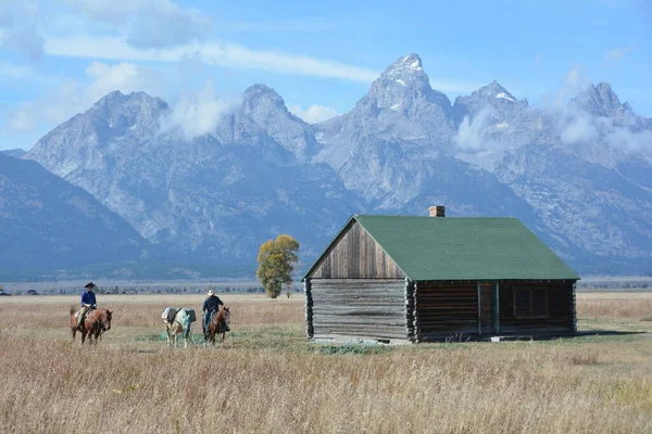 怀俄明州的两个牛仔带着他们的马 — 图库照片