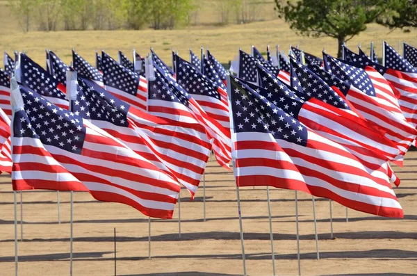 Bandiera Degli Stati Uniti America Spesso Indicata Come Bandiera Americana — Foto Stock