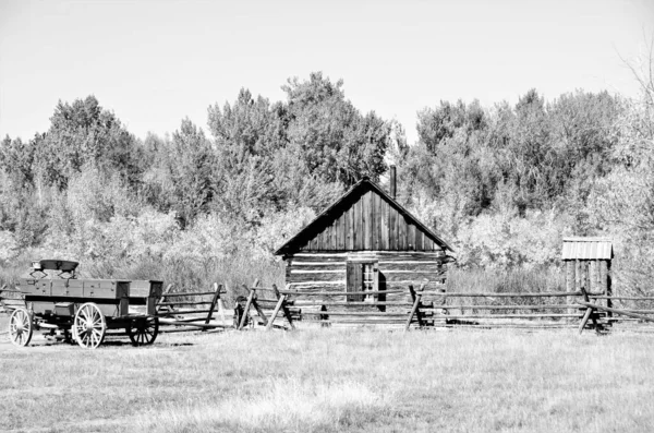 Old Homestead Colorado Met Hut Wagen Bijgebouw — Stockfoto