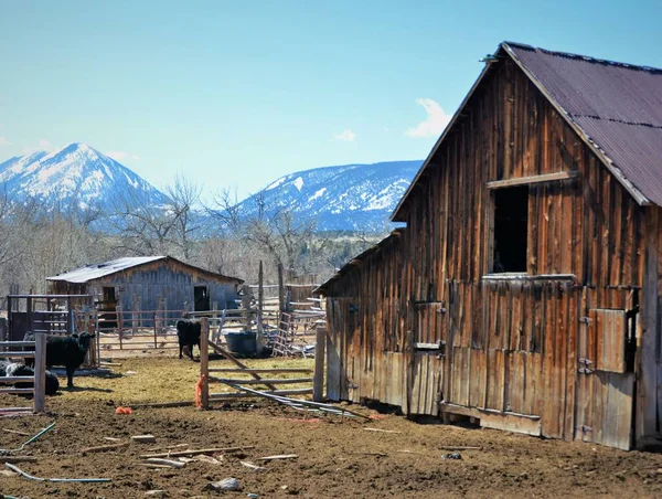 Ranchs Och Lador Colorado — Stockfoto