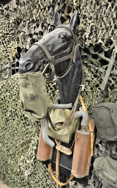 第一次世界大戦中の馬の安全のために使われたガスマスク — ストック写真