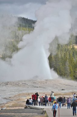 Wyoming 'deki Eski Sadık. 