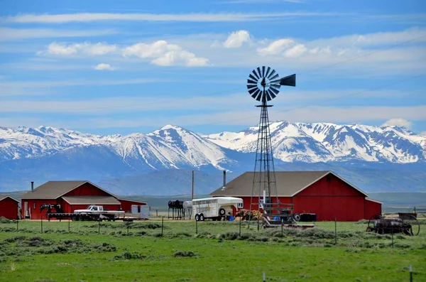 Yel değirmeni ve karla kaplı dağları olan Colorado Çiftliği. 