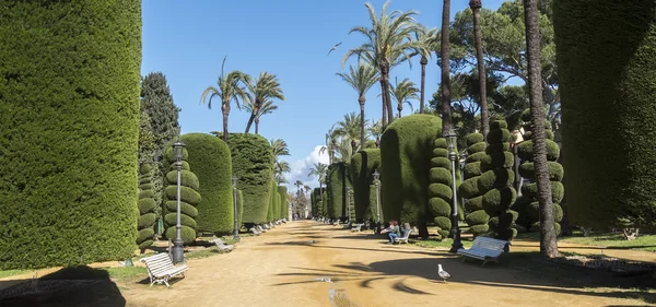 Genoves Park, Andalusië, Spanje — Stockfoto