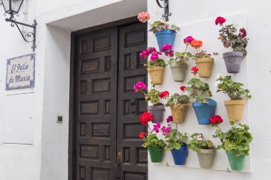 Avlu sardunyalar, Cordoba, İspanya ile dekore edilmiştir.