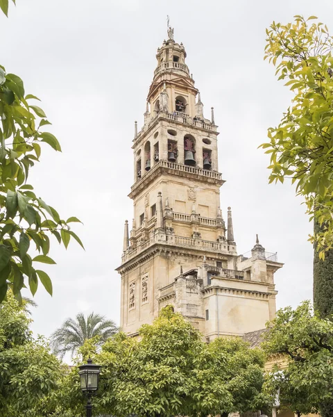 Mezquita Catedral de Córdoba, España — Foto de Stock