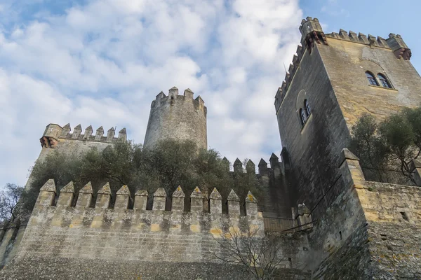 Almodovar del rio vár, Cordoba, Spanyolország — Stock Fotó