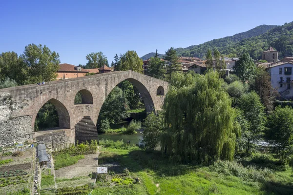 Puente de piedra medieval, Sant Joan de les Abadesses — Foto de Stock