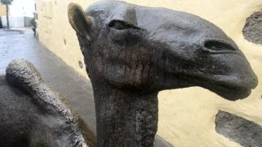 Sokakta bir deve için bronz heykel