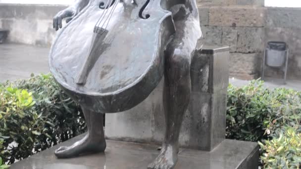 Statua in bronzo di una ragazza che suona un violoncello — Video Stock