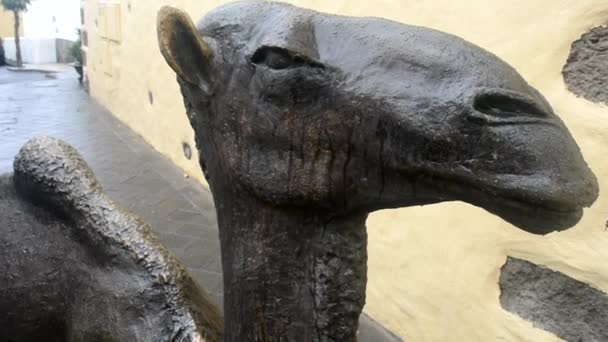 Bronze sculpture to a camel on the street — Stock Video